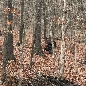 Meet your Posher, Sean